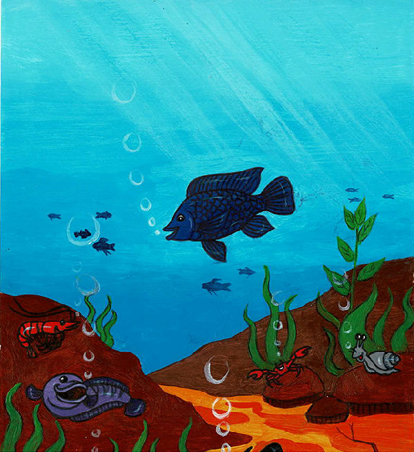 Cover of Beautiful Water Animals