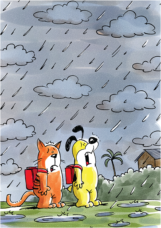 Cover of Cat & Dog and the Rain