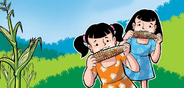 Cover of Chunu & Munu: The Corn Is Yummy!