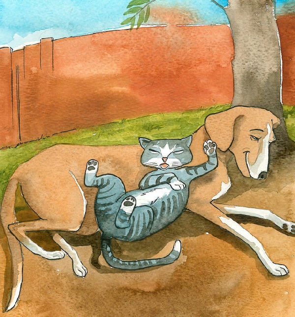 Cover of Dogs versus Cats