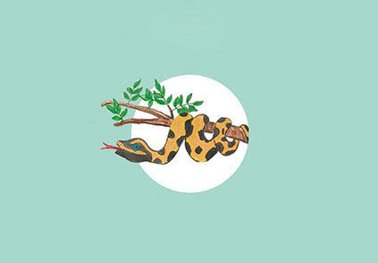 Cover of How did the Rat Snake Lose its Poison?