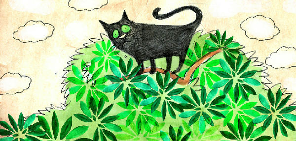 Cover of It's All the Cat's Fault!