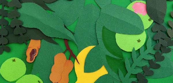 Cover of My Tree Friend
