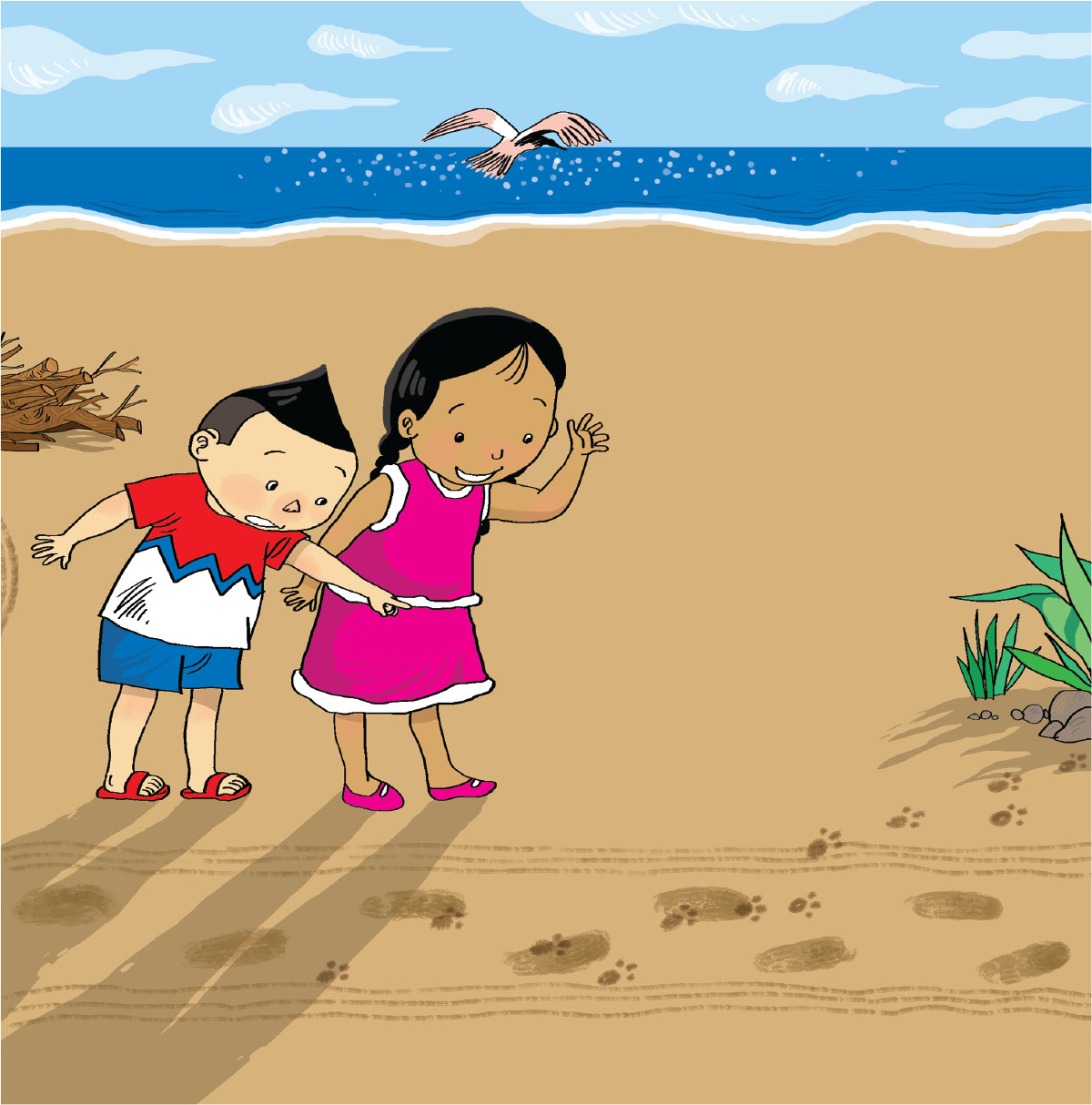 Cover of Strange Footprints