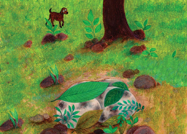 Cover of The Dog's Eggs