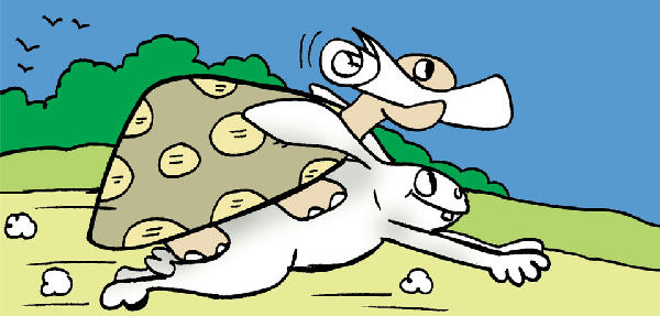 Cover of The Hare & the Tortoise (Again!)