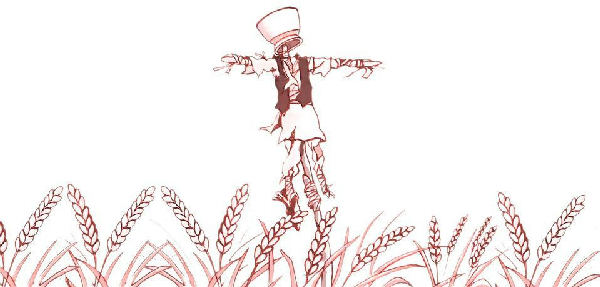 Cover of The Soil