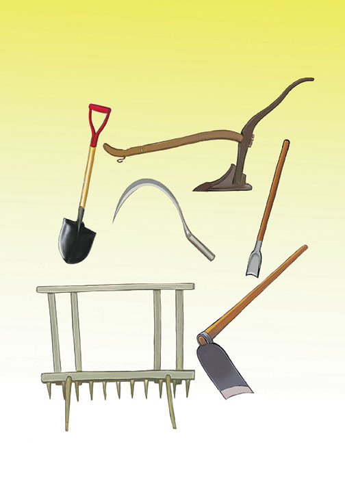 Cover of Tools for Rice Farming
