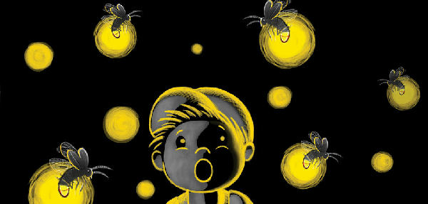 Cover of Why Can't We Glow Like Fireflies?
