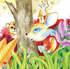 Cover of Why Do Deer Have Antlers?