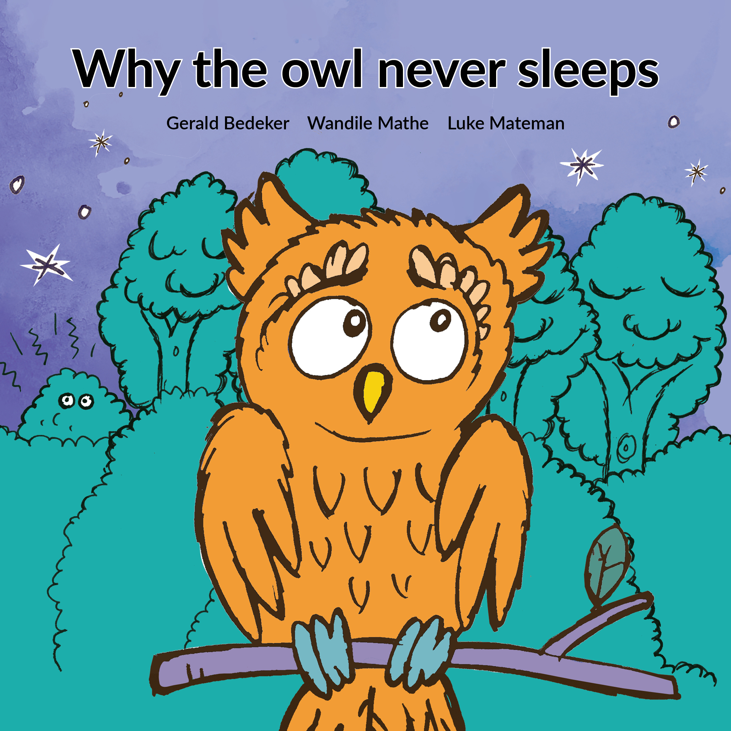 Cover of Why the owl never sleeps